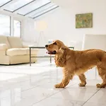 Sassa فندق لوغانو